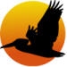 Florida Vacation home Logo. Pelican on Sunrise background